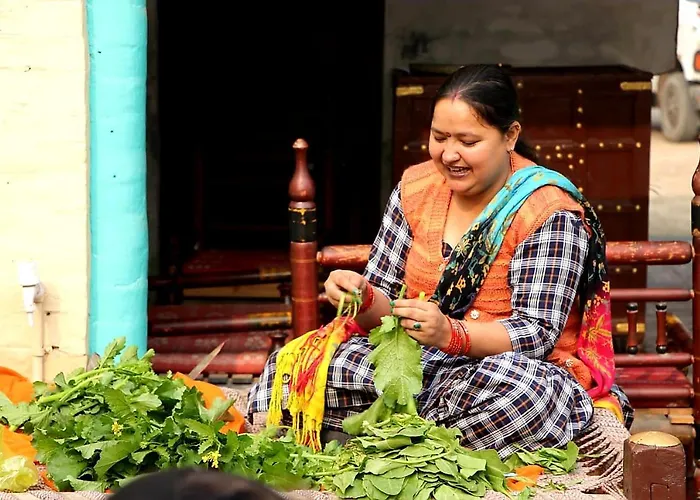 Virasat E Punjab -Farmstay Amritsar