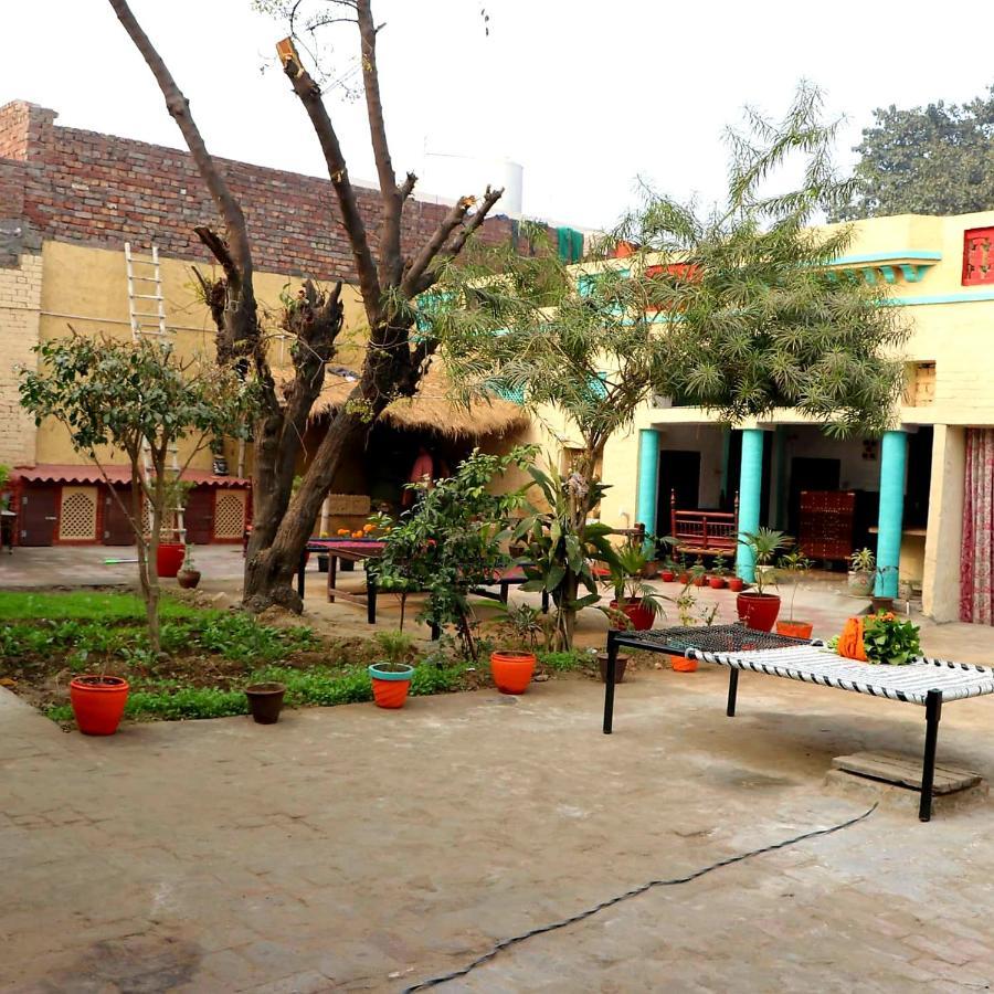 Virasat E Punjab -farmstay Amritsar Farm stay Nuruddin