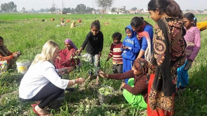 Farm stay Virasat E Punjab -farmstay Amritsar