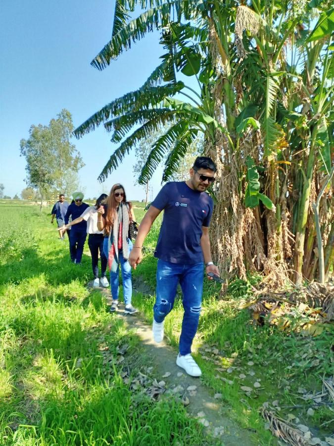 Virasat E Punjab -farmstay Amritsar * Nuruddin