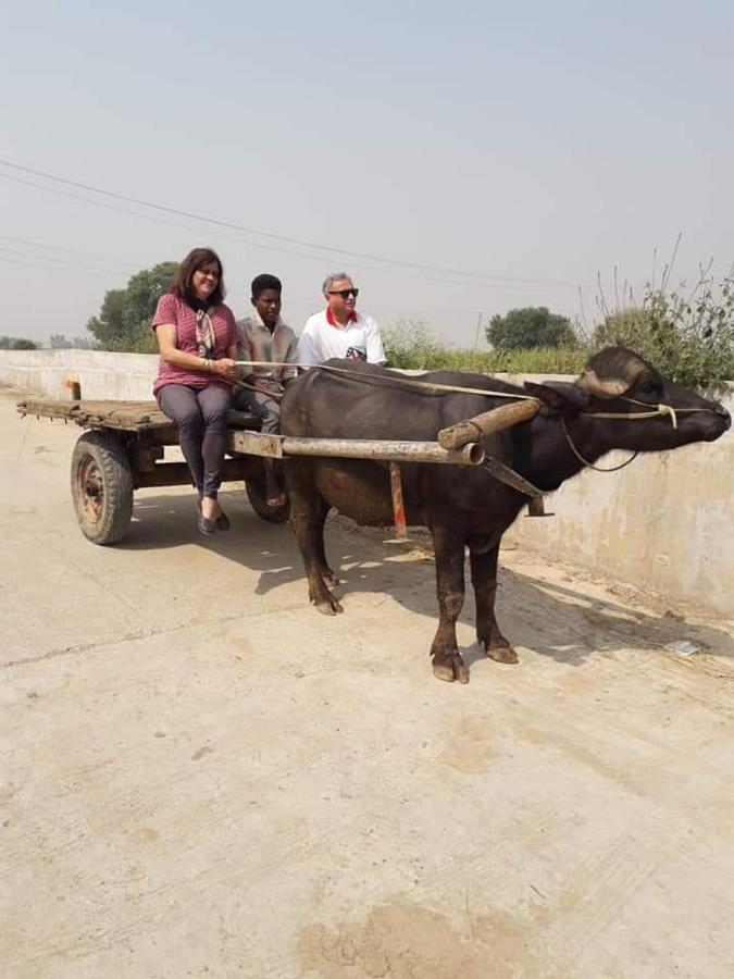 Virasat E Punjab -farmstay Amritsar Farm stay